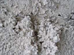 coolross 1855.jpg